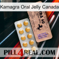 Kamagra Oral Jelly Canada 41